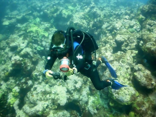  underwater photography 